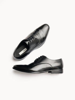 NFAI Sharp Toe Derby